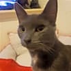 Thumbnail photo of Pebbles #2