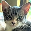Thumbnail photo of WallE #1