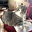 Thumbnail photo of WallE #4