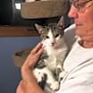 Thumbnail photo of Archie #2