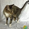Thumbnail photo of Livia #2