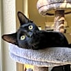 Thumbnail photo of MONET #3