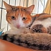 Thumbnail photo of Littles #1