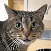 Thumbnail photo of Abby #2