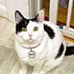 Thumbnail photo of Mochi [READ BIO PLS] #2