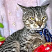 Thumbnail photo of Jobb #2