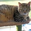 Thumbnail photo of Rupert #1