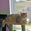 Thumbnail photo of Rupert #2