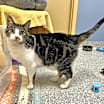 Thumbnail photo of Heather #4