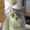 Thumbnail photo of Allie #1