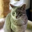 Thumbnail photo of Allie #2
