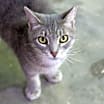 Thumbnail photo of Allie #3