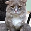 Thumbnail photo of Marty #4
