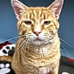 Thumbnail photo of Mitchell #3
