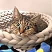 Thumbnail photo of Reese #1