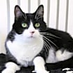 Thumbnail photo of Malachi #1