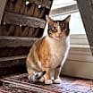 Thumbnail photo of Mable #1