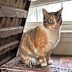 Thumbnail photo of Mable #2