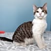 Thumbnail photo of Maggie #1
