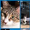Thumbnail photo of GiGi #1