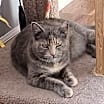 Thumbnail photo of Peaches #1