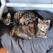Thumbnail photo of Peaches #2