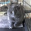 Thumbnail photo of Teri #1