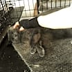 Thumbnail photo of Teri #2