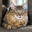 Thumbnail photo of Bela #3