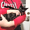 Thumbnail photo of BiddyBop #3