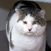 Thumbnail photo of Buster #2