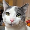 Thumbnail photo of Trini #2