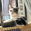 Thumbnail photo of Trini #4