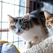 Thumbnail photo of Littles #3