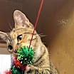 Thumbnail photo of Faith #1