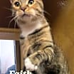 Thumbnail photo of Faith #2
