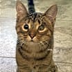 Thumbnail photo of Sebastian #3