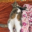 Thumbnail photo of Liz #1