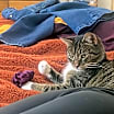 Thumbnail photo of Liz #2