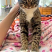 Thumbnail photo of Liz #4