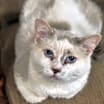 Thumbnail photo of Ariel #2