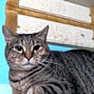 Thumbnail photo of Reese #3