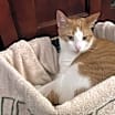 Thumbnail photo of Zeke #1