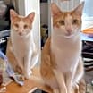 Thumbnail photo of Zeke #2