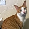 Thumbnail photo of Zeke #3