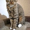 Thumbnail photo of Annie #1