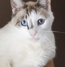 Photo of Handsome