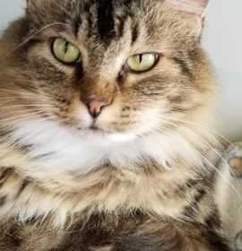 Photo of Jesse (taboo)