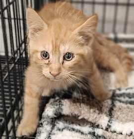 Photo of Season Salt