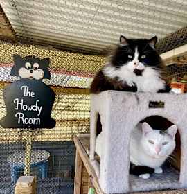 Photo of Alex and Feather --Together Forever!